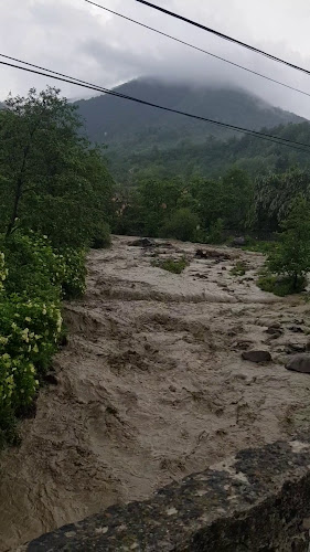 Opinii despre Grădina Mare în Bâsca Chiojdului - Gastronomie și ospitalitate