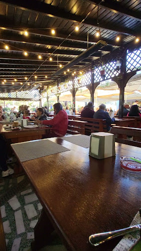 Pizzeria Domnească - Gastronomie și ospitalitate