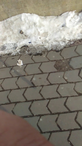 Opinii despre Pacific în Focșani - Gastronomie și ospitalitate