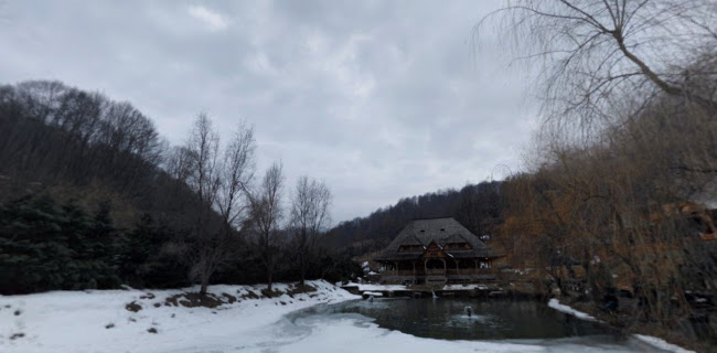 Comentarii opinii despre Păstrăvăria Alex