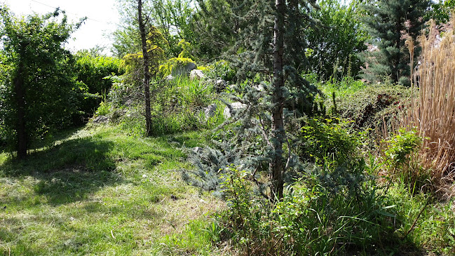 Restaurant "Donaris" Brăila - Vărsătura