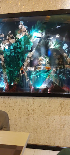 Opinii despre Restaurant & Pizzerie Aroma Copou în Vaslui - Gastronomie și ospitalitate