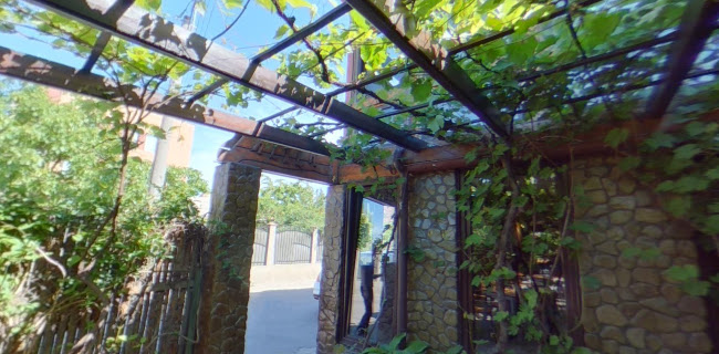 Opinii despre Pizzeria Alila în Iași - Gastronomie și ospitalitate