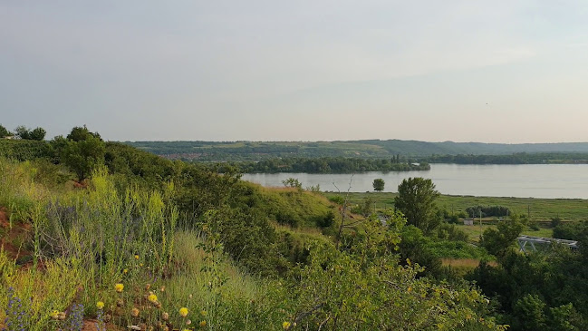 Hill Events - Gastronomie și ospitalitate