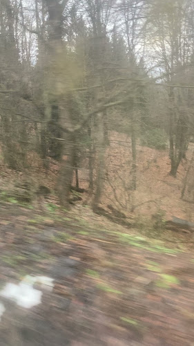 Opinii despre Autoservire în Brașov - Gastronomie și ospitalitate