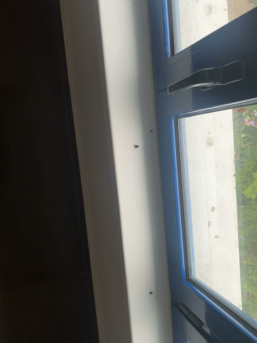 Hotel Magnific - Borș