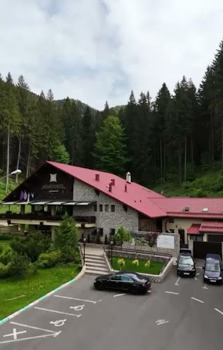 Opinii despre Restaurant Vânătorul în Brașov - Gastronomie și ospitalitate