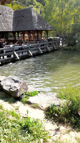 Comentarii opinii despre Păstrăvăria Alex