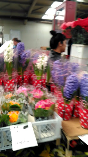 Opinii despre Piața Agroalimentară Berceni-Olteniței în București - Gastronomie și ospitalitate