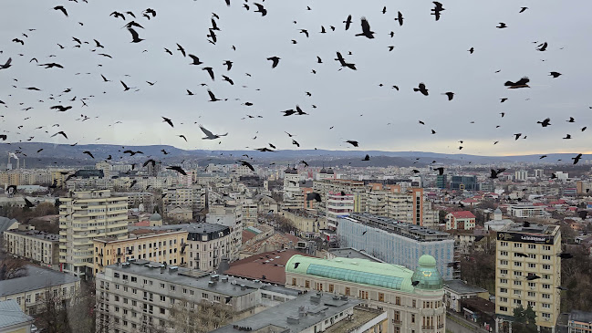 Comentarii opinii despre Restaurant Panoramic