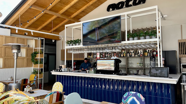 Terasa Motor - Constanța