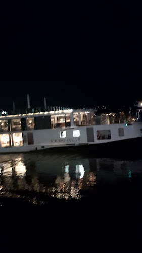 Comentarii opinii despre Restaurant La Ponton