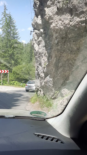 The Grill Point LACU ROȘU - Lacu Roșu