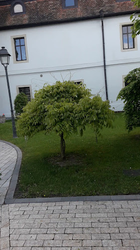 Opinii despre Restaurant Hotel Medieval în Alba Iulia - Gastronomie și ospitalitate