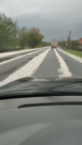 Opinii despre Plăcintă la Topa în Topa Mică - Gastronomie și ospitalitate