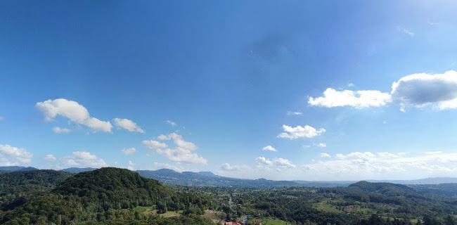 Opinii despre Hanul Teilor în Dănești - Gastronomie și ospitalitate