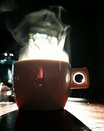 Strada Gavriil Musicescu 14, Iași 700259