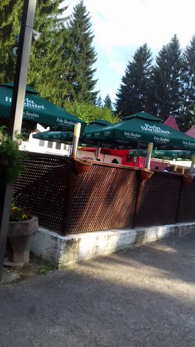 Opinii despre Restaurant Valea Zânelor Covasna - Kovásznai Tündérvölgy Étterem în Covasna - Gastronomie și ospitalitate