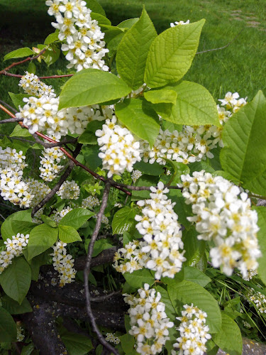 Piața Agroalimentară IRA - Cluj-Napoca