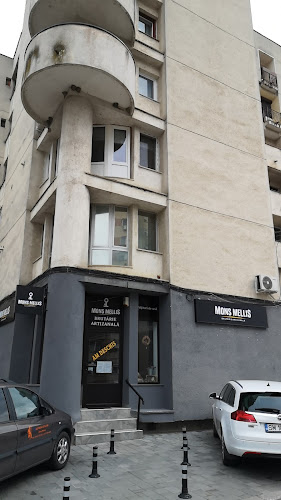 Bloc D8, Satu Mare 447230