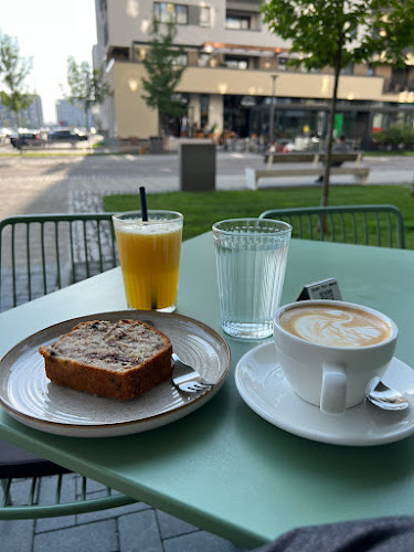 Str. Camil Petrescu 3, Brașov 500167