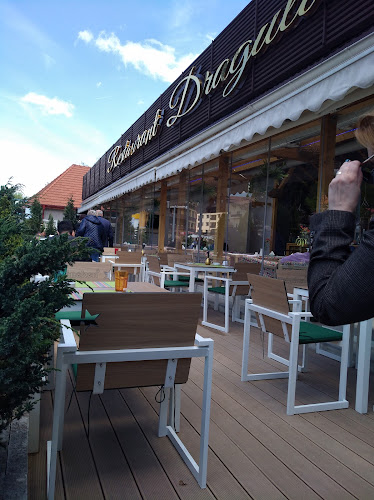 Comentarii opinii despre Dragului