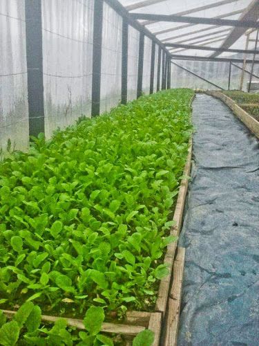 Ferma din Ardeal - Gastronomie și ospitalitate