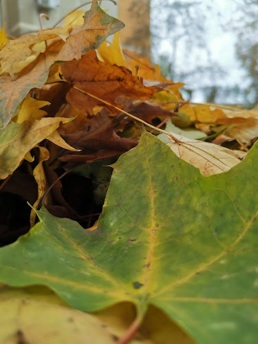 Piaţa agroalimentara Gării - Gastronomie și ospitalitate