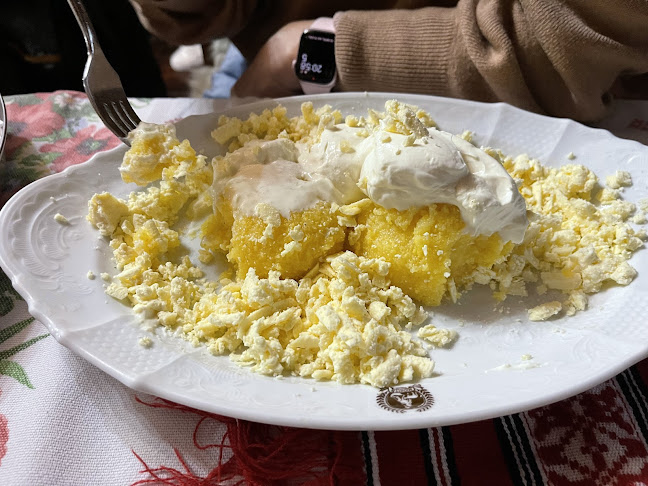 Miorița - Timișoara