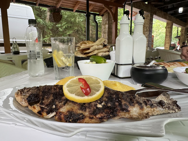 Terasa Baitz - Băile Herculane