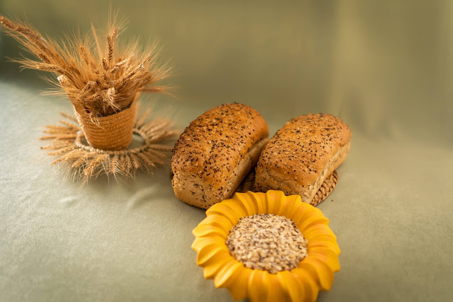 Strada Memorandului 2, Lugoj 305500