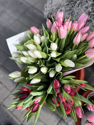 Floraria Garden Boutique Valcea - Râmnicu Vâlcea