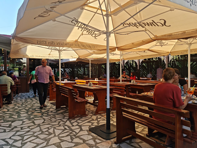 Pizzeria Domnească - Gastronomie și ospitalitate