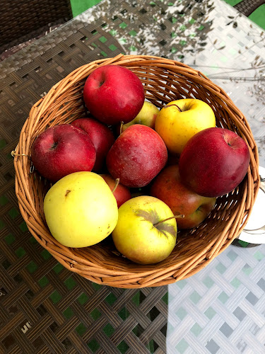 Comentarii opinii despre Raza de Soare