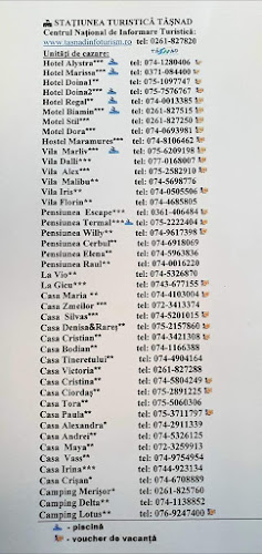 Opinii despre Restaurant Pizzerie Satu Mare în Satu Mare - Gastronomie și ospitalitate