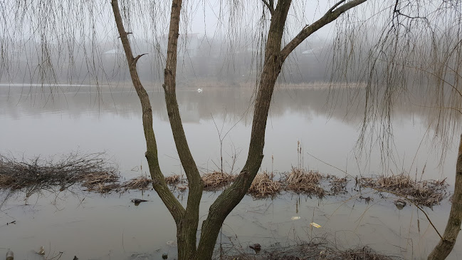 Restaurant Parc - Drăgănești-Vlașca