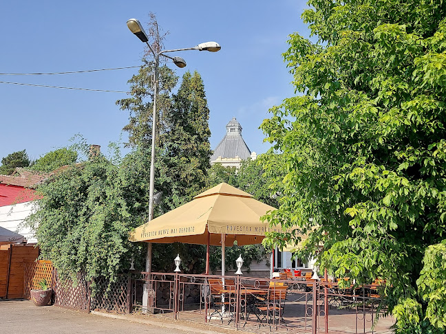 Terasa Belvedere - Gastronomie și ospitalitate