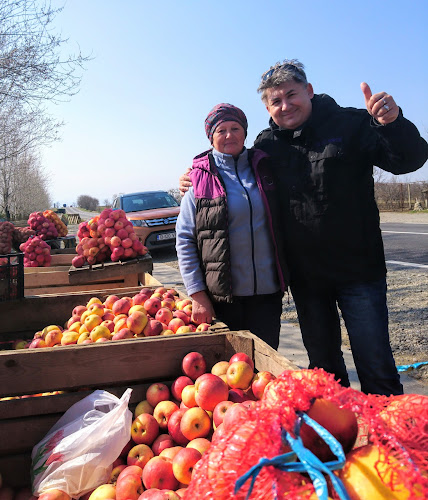Opinii despre Fructe Romanesti în Rădășeni - Gastronomie și ospitalitate
