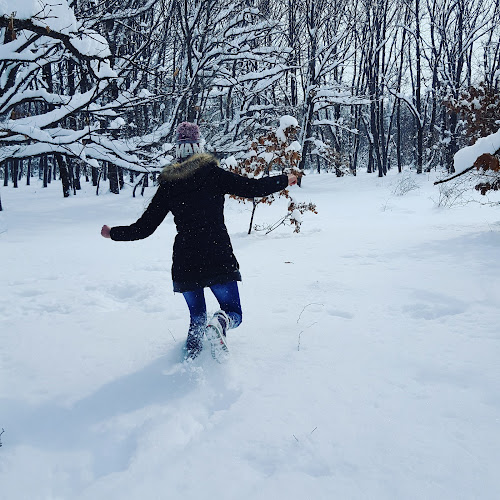 Piața agroalimentară Scornicești - Scornicești