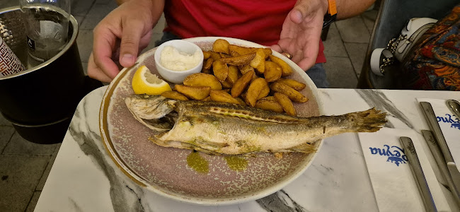 Comentarii opinii despre Restaurant Reyna