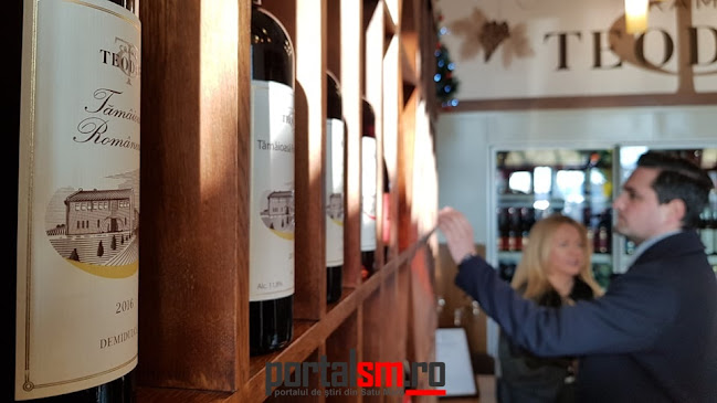 Crama Teodor - Satu Mare