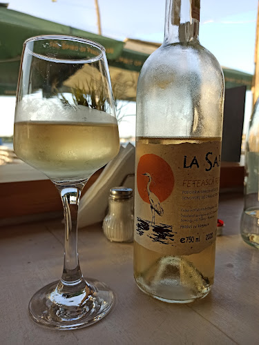 Ivan Pescar - Tulcea