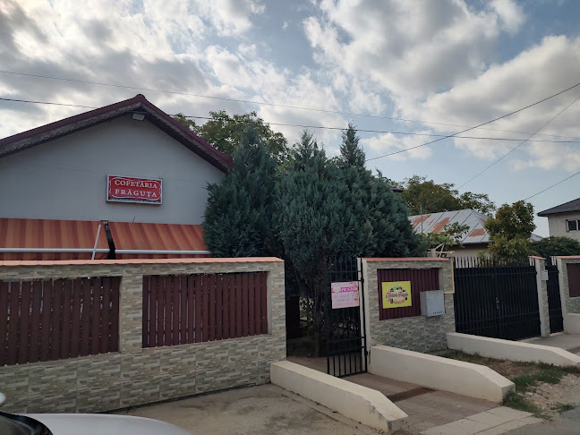 Frăguța - Măgurele