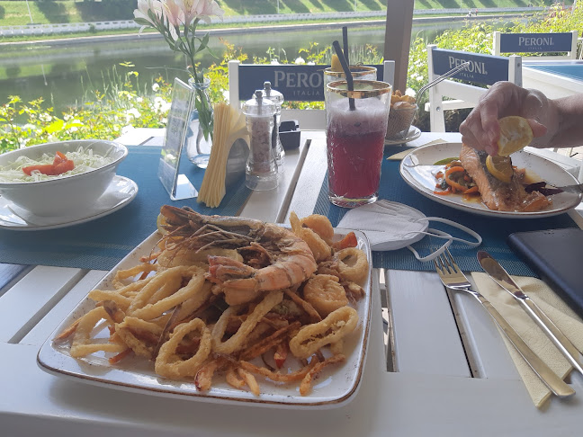 Aleea Ștrandului 3, Oradea 410008