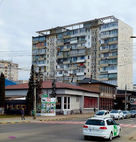 Comentarii opinii despre La bibliotecă