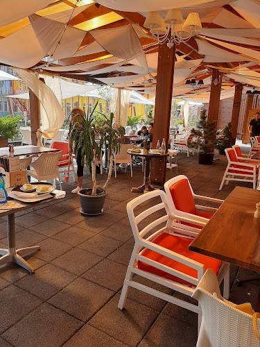 Comentarii opinii despre Platinum