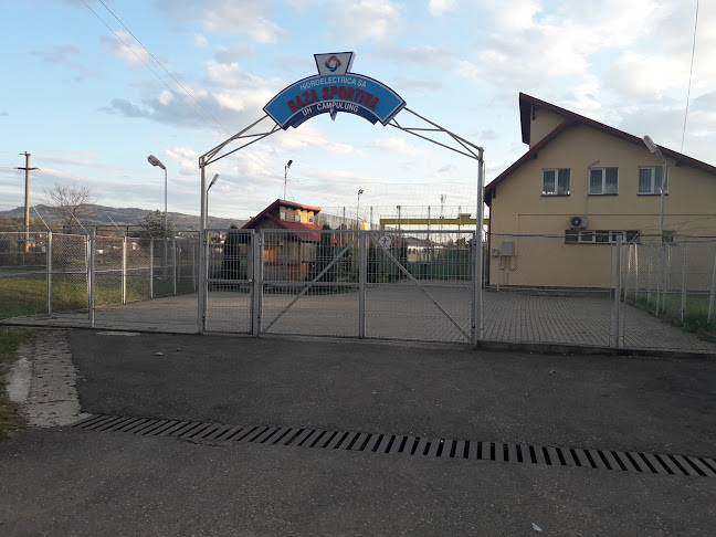 Profructta - Câmpulung