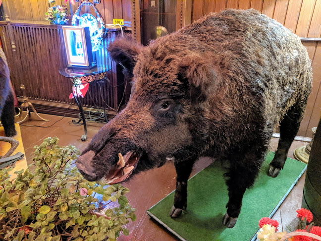 Terasa Doamnei - Gastronomie și ospitalitate