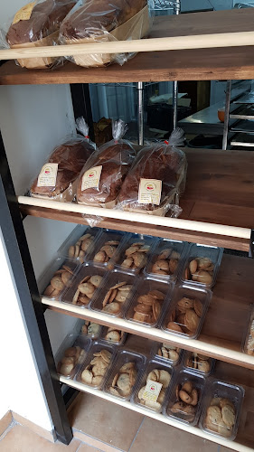 Comentarii opinii despre DOAR GRANE