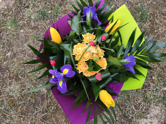 Floraria Anotimp - Gastronomie și ospitalitate